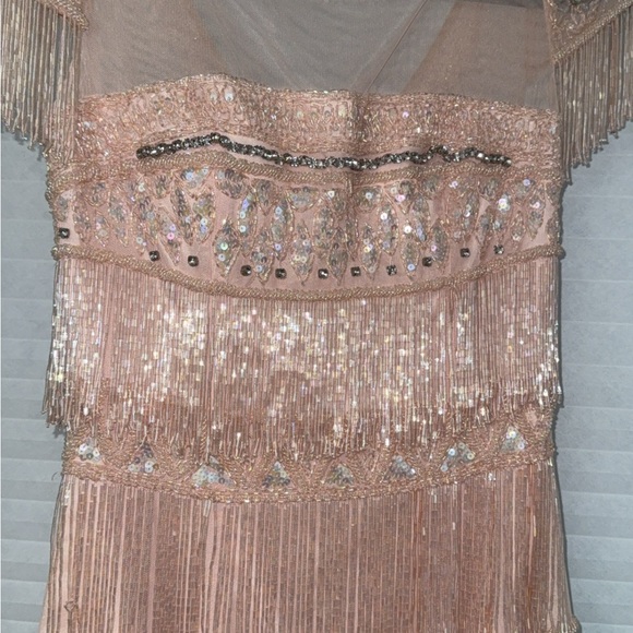 Elegant Sequin Fringe Dress - Picture 3 of 3